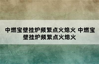 中燃宝壁挂炉频繁点火熄火 中燃宝壁挂炉频繁点火熄火